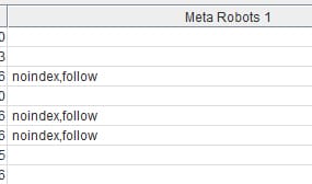 Links Internos - Meta Robots